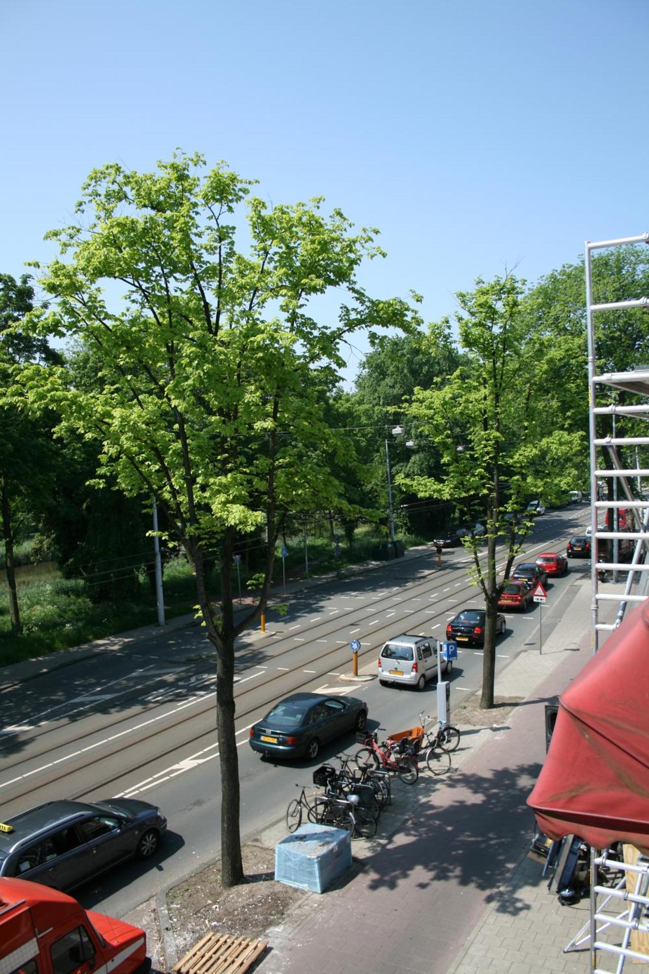 Frankendael Apartments Amsterdam Eksteriør bilde